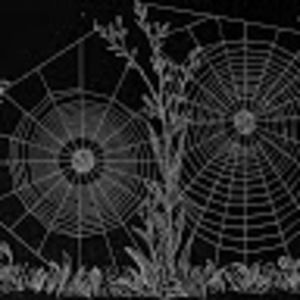 Meet your Posher, Jose